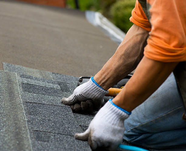 Roof Waterproofing Services in Danville, IN